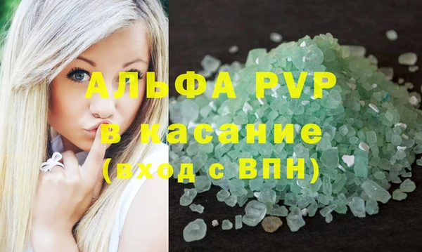 стаф Зерноград