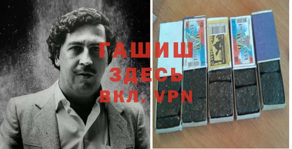 индика Артём
